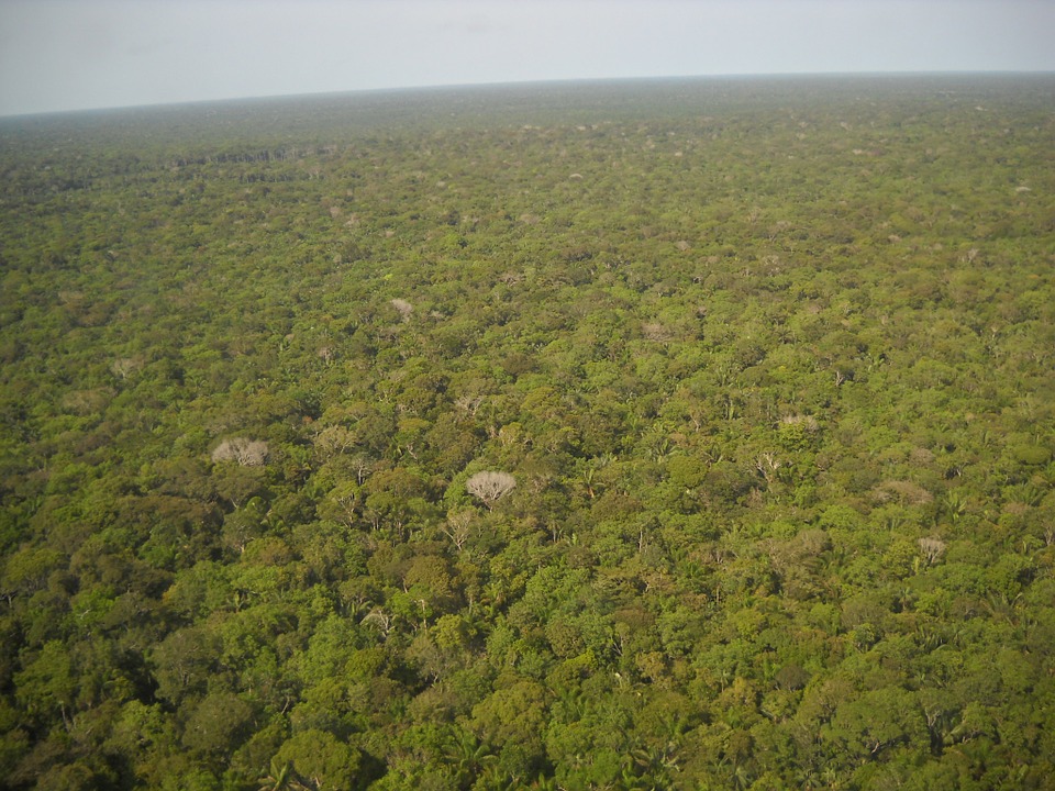 Observatório IFTM